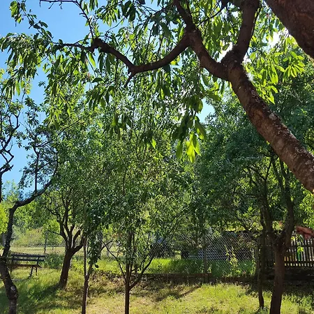 Charmantes Mit Naturgarten, Cleaning Included *